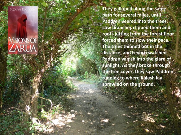 Drew - Tree tunnel picture quote