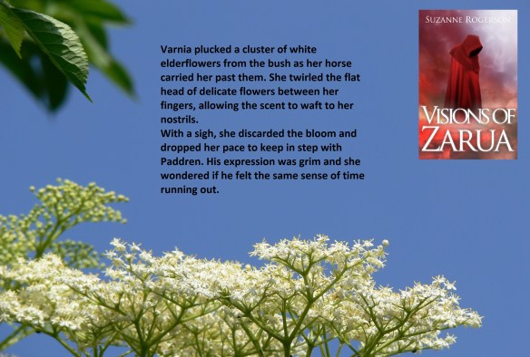 varnia and elderflower scene for blog tour