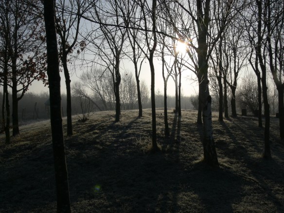 photos-jan-to-mar-2012-012