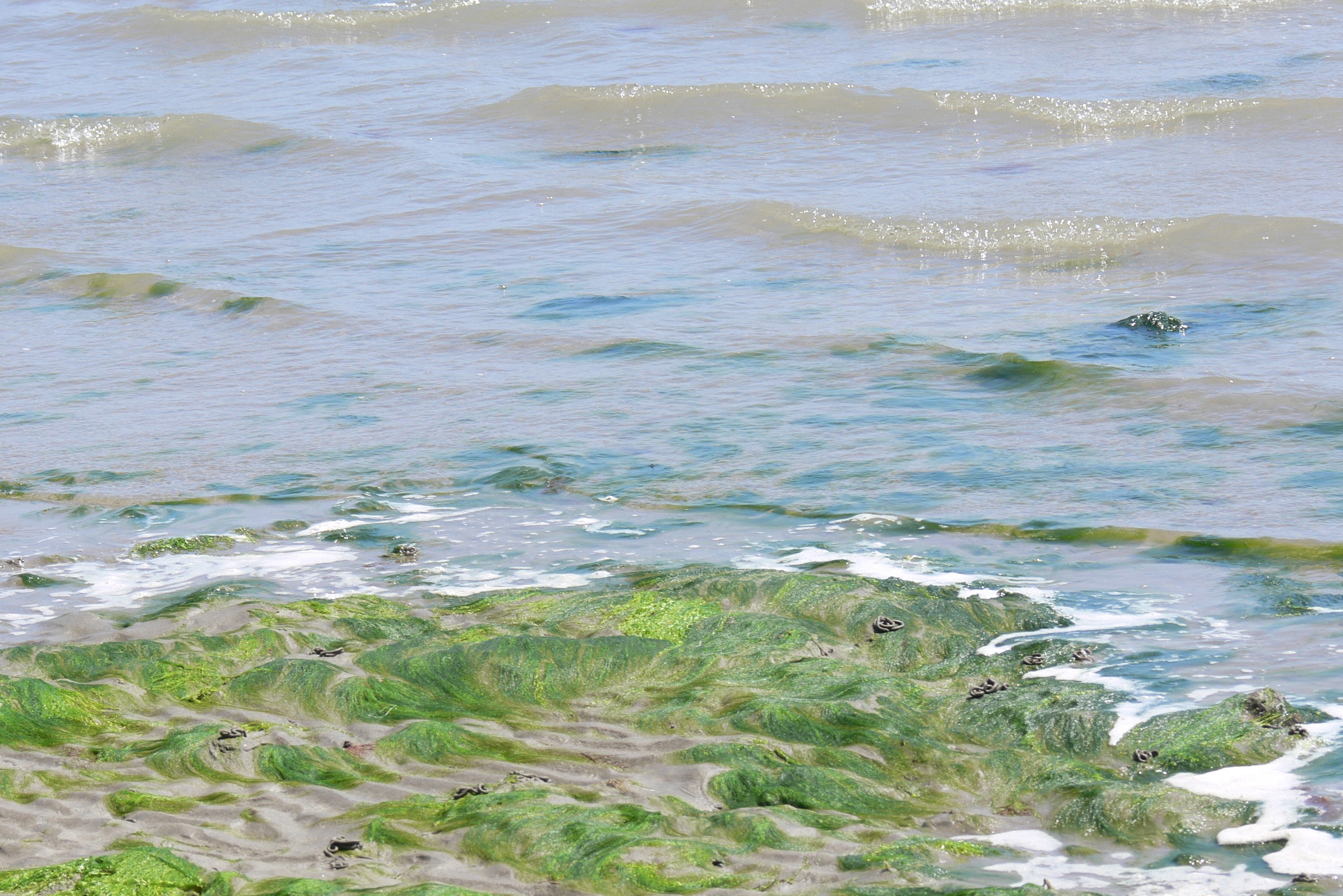 2017-06-01 13.46.49 (2)