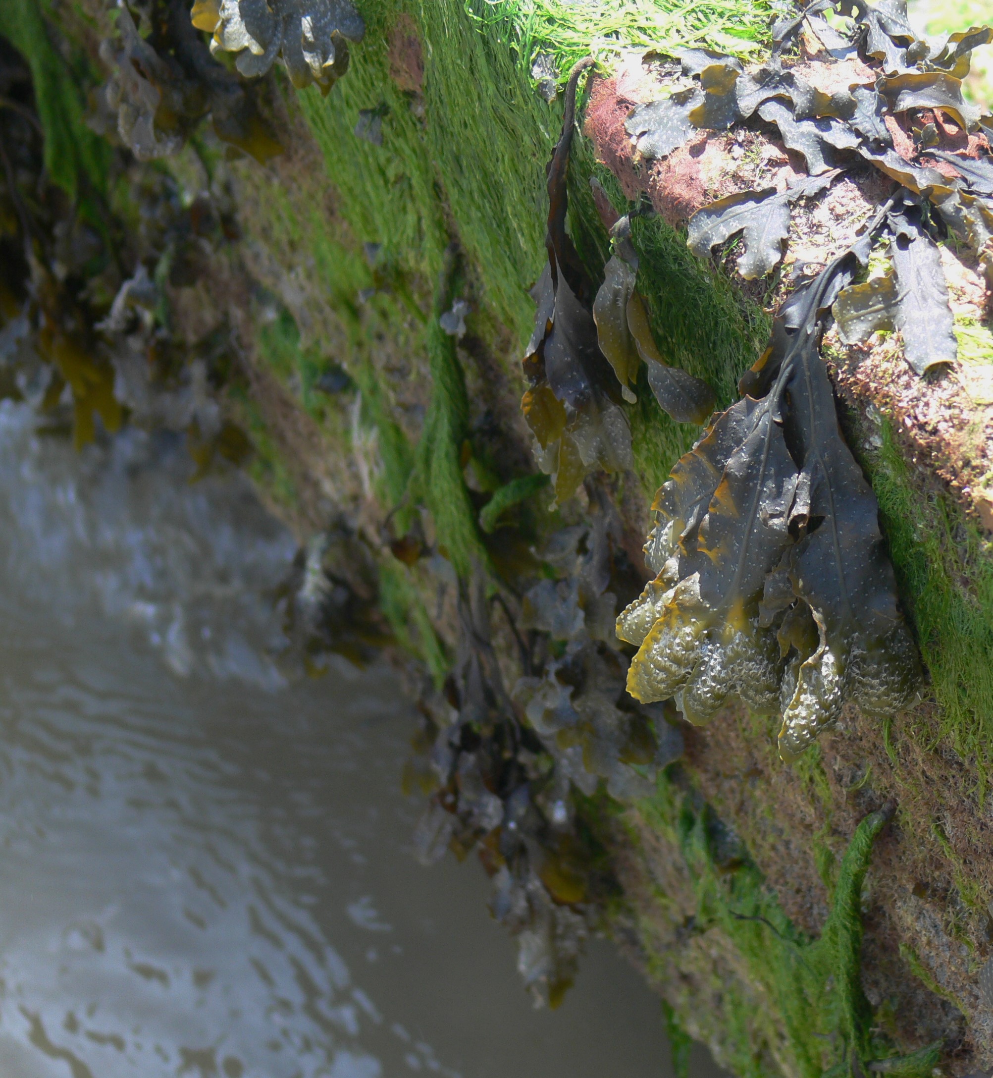 2017-06-01 14.09.31 (2)