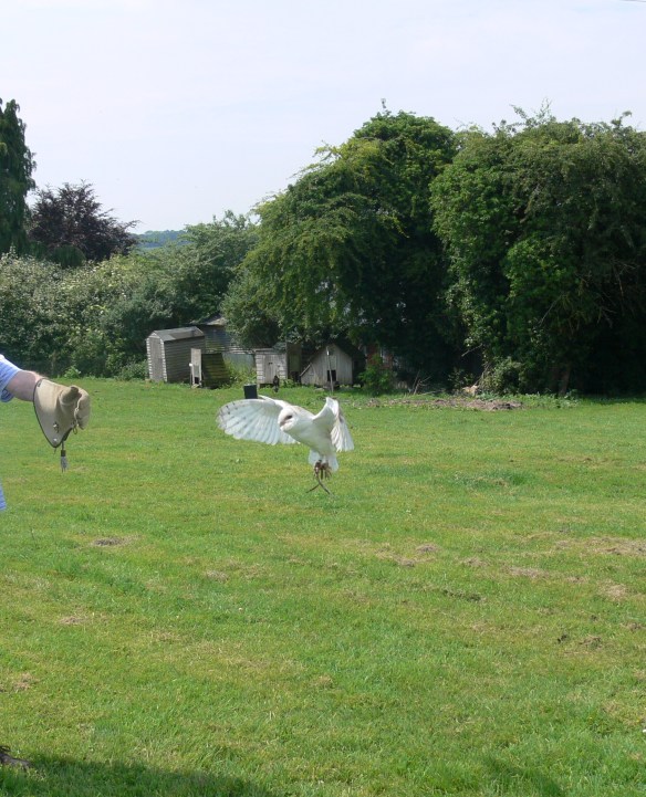 2017-06-02 12.56.52 (2)