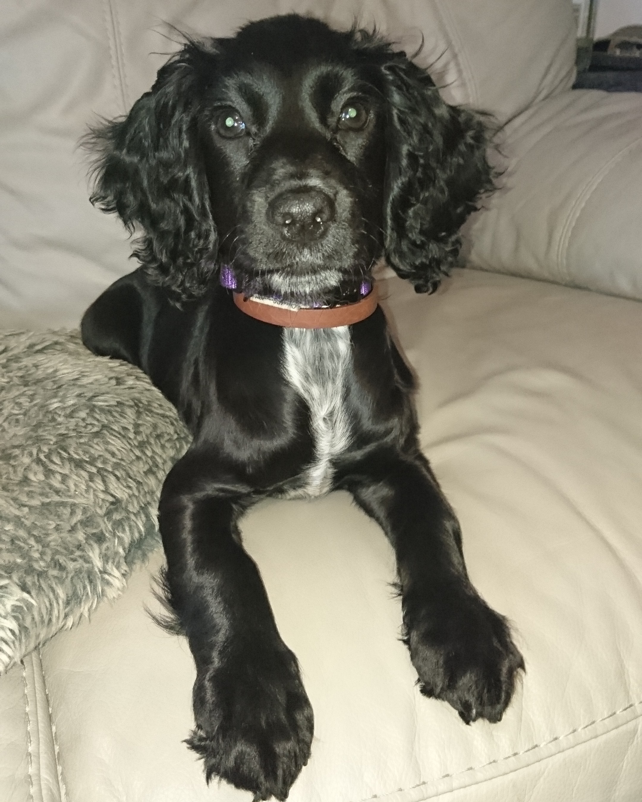 IMG_20191013_170349_615